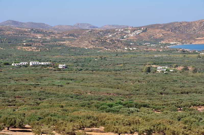 Hotel Marina Village Sitia  Exterior foto